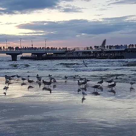 公寓 Solna 11a Z Garazem W Cenie *