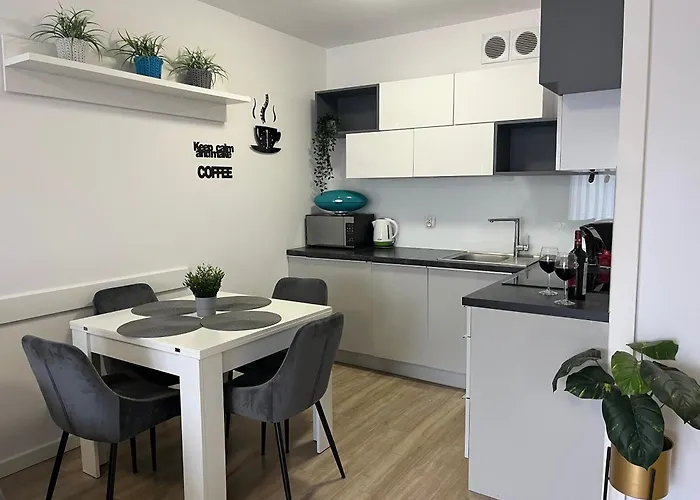 公寓 Solna 11a Z Garazem W Cenie *